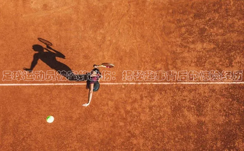 门徒平台登录地址百度数据开放平台足球运动员被蜜蜂蛰伤：揭秘趣事背后的惊险经历