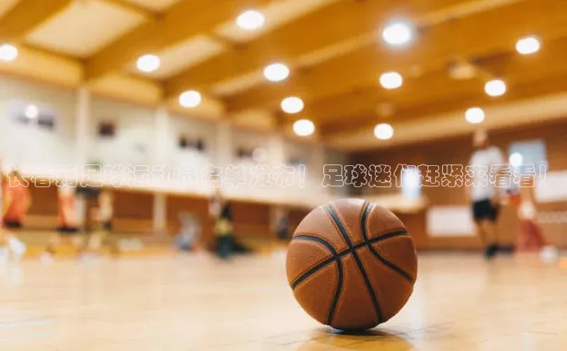 门徒娱乐登录赛富乐斯长春籍足球运动员名单发布！足球迷们赶紧来看看！