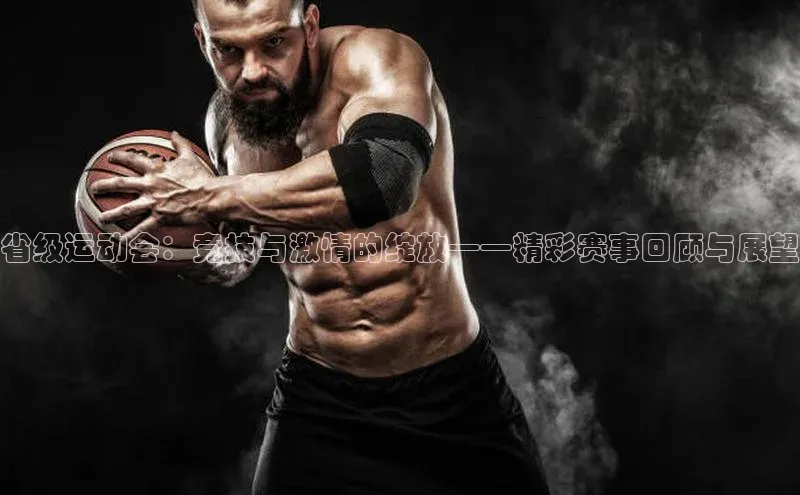 省级运动会：竞技与激情的绽放——精彩赛事回顾与展望