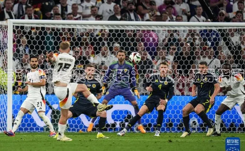 运动赛事参赛全攻略：你的入场券指南