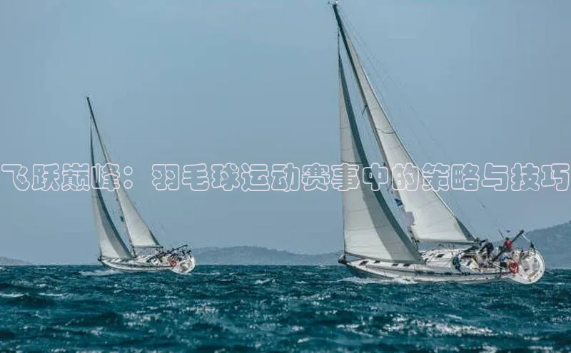 飞跃巅峰：羽毛球运动赛事中的策略与技巧