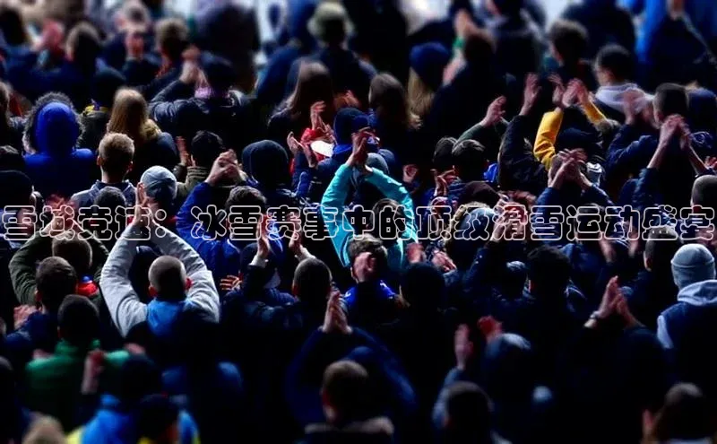 雪域竞速：冰雪赛事中的顶级滑雪运动盛宴
