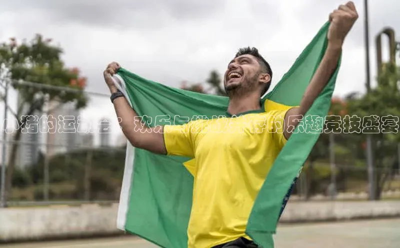 小猪的运动会：欢乐与挑战并存的乐趣竞技盛宴