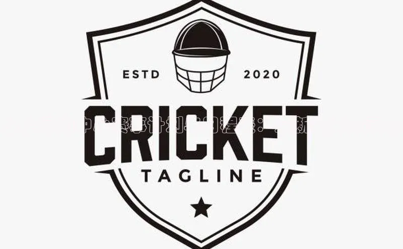 水上运动中心赛事计划与日程表：最新安排与亮点