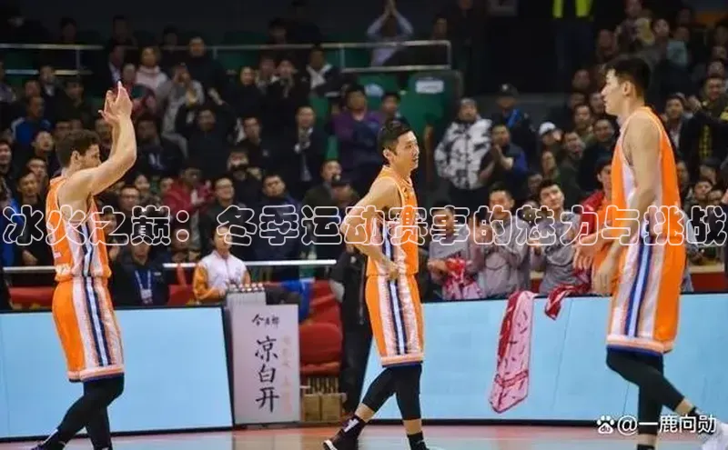 冰火之巅：冬季运动赛事的魅力与挑战