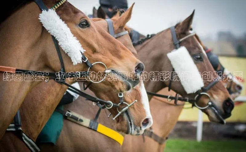 绿茵盛宴：立咕运动杯赛事中的精彩瞬间与创新元素