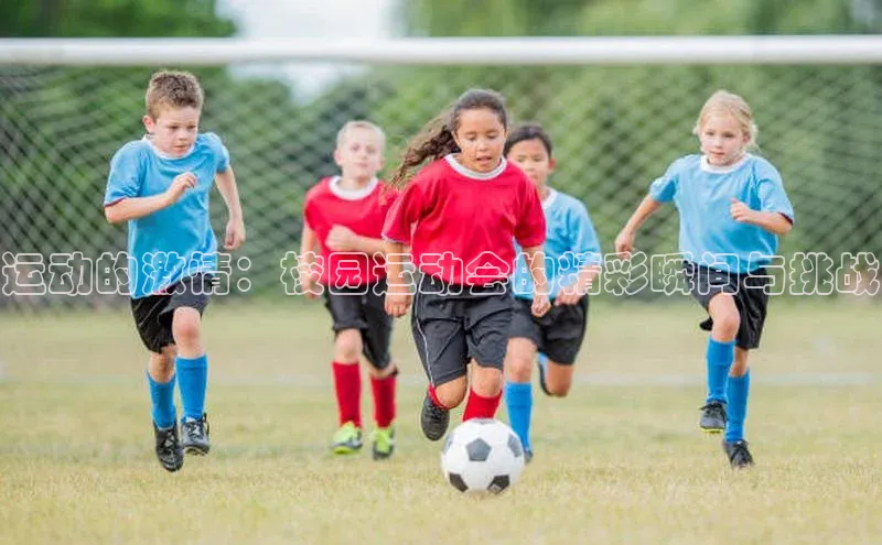 运动的激情：校园运动会的精彩瞬间与挑战