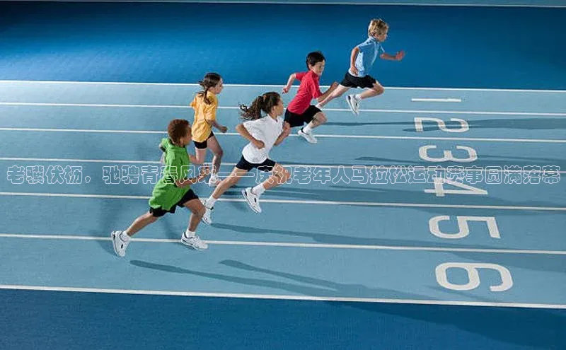 老骥伏枥，驰骋青春风采——庆祝老年人马拉松运动赛事圆满落幕