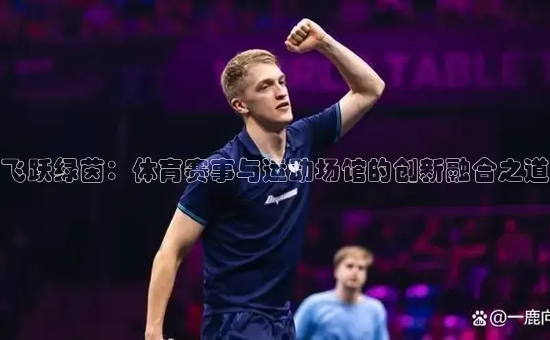 飞跃绿茵：体育赛事与运动场馆的创新融合之道