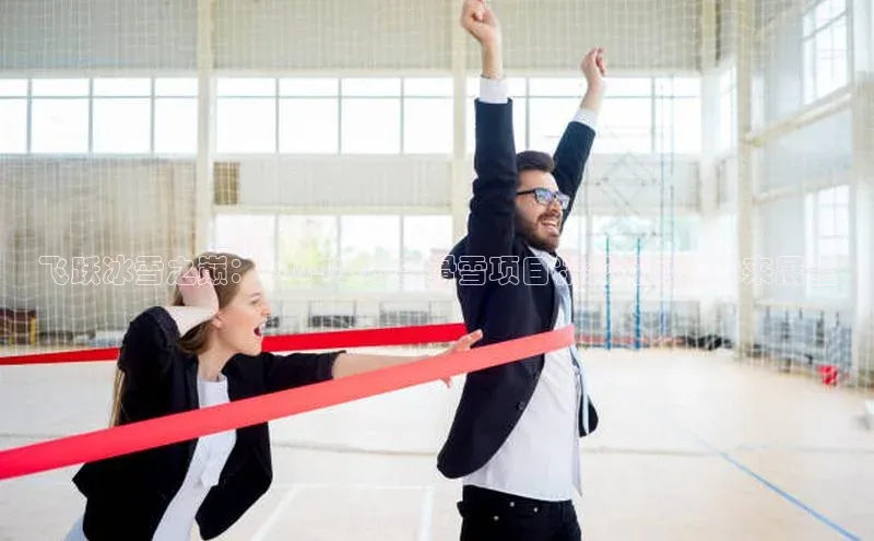 飞跃冰雪之巅：2024冬奥会滑雪项目精彩回顾与未来展望