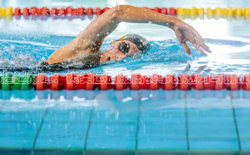 超越巅峰：棋类运动最高赛事的魅力与挑战