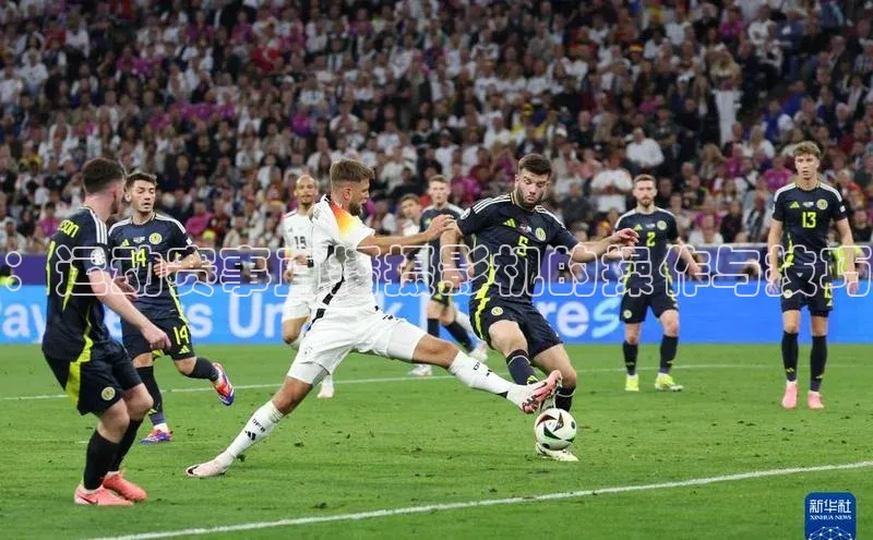 门徒娱乐在线登录