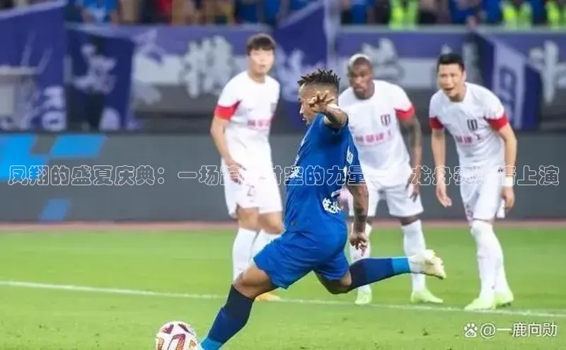 凤翔的盛夏庆典：一场跨越时空的力量——龙舟赛燃情上演